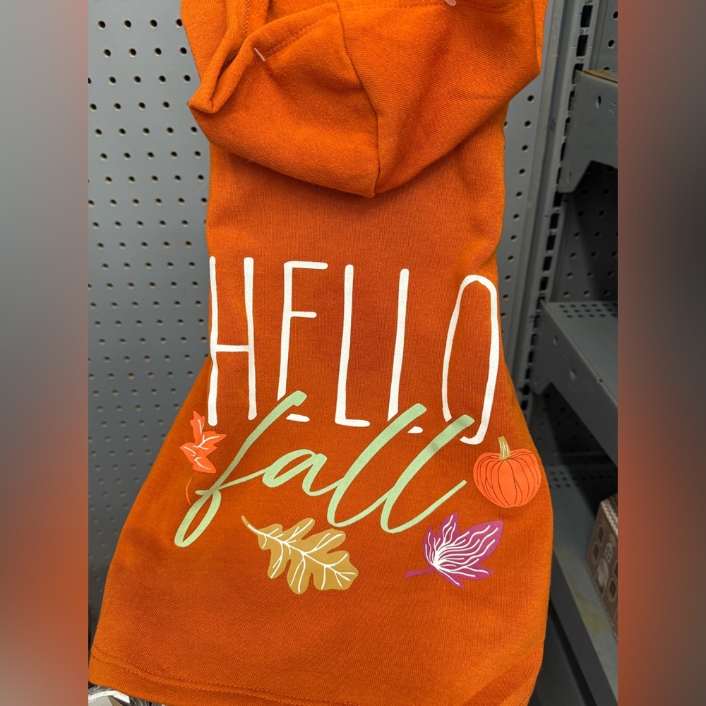 Hello Fall Dog Hoodie - Orange